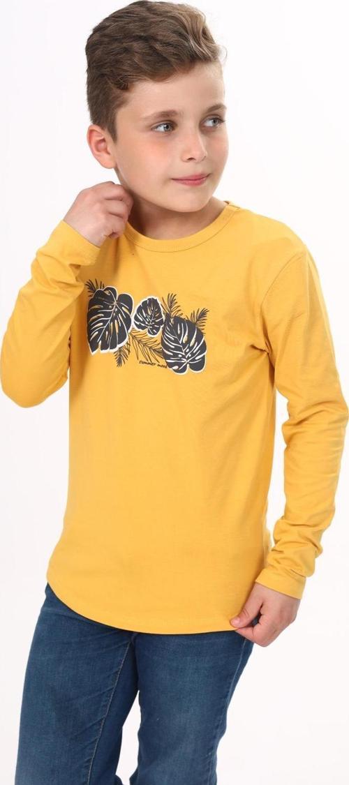 Toontoy Erkek Çocuk Baskılı Tişört