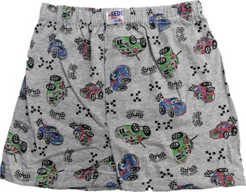 Sedef Yıldız Erkek Çocuk Desenli Penye Boxer