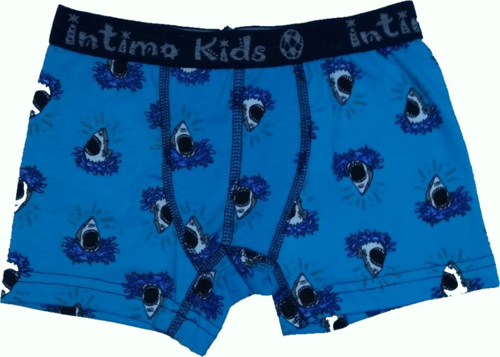 12 li Paket İntimo Kids Erkek Çocuk Desenli Likralı Boxer