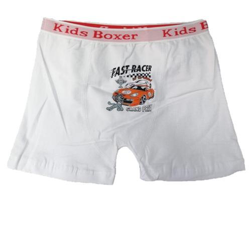 Sedef Yıldız Erkek Çocuk Likralı Boxer 1089