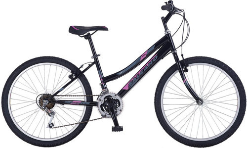 Excel Lady 24"Jant V Fren 14 Kadro 21 Vites Dağ Bisikleti Siyah Mor