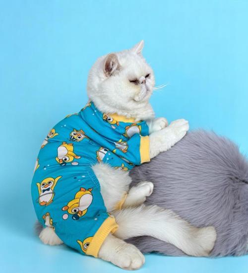 PenPen the Penguin Penye Kedi Tulum Pijama