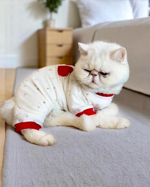 Sparkle Bow Penye Kedi Tulum Pijama