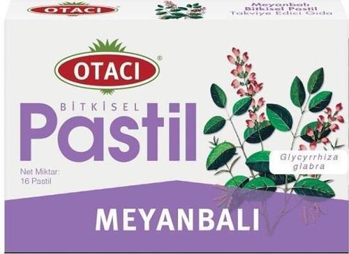 Meyanbalı Pastil 16lı