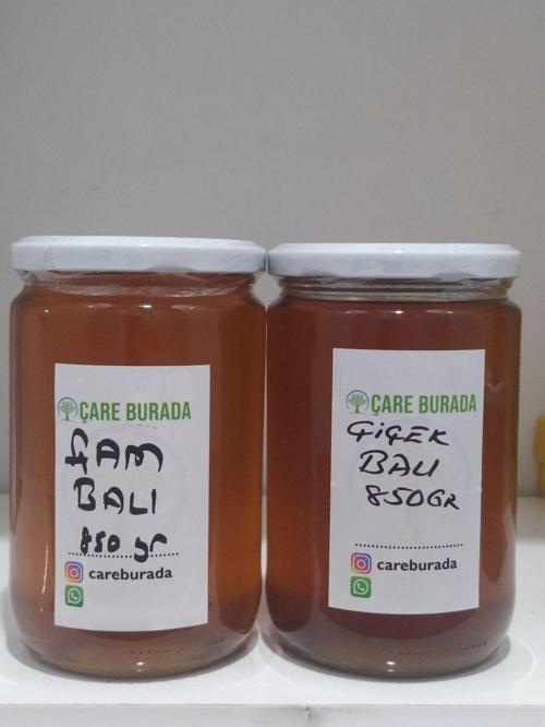 Çam Balı + Çiçek Balı 1700 Gr