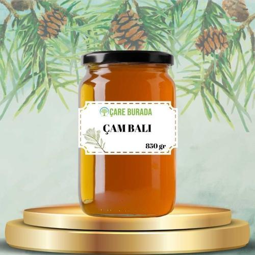 Çam Balı Muğla Bölgesi 850 Gr