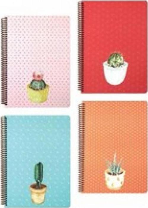20x28 100 Yaprak Çizgili Spiralli Sert Kırmızı Kapak Saguaro Defter