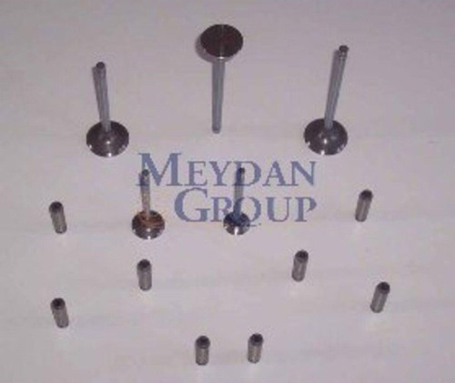 Nıssan Sunny- B11 Cd17- 84/86; Emme Supapı Dizel 1.7Cc (Arm) -