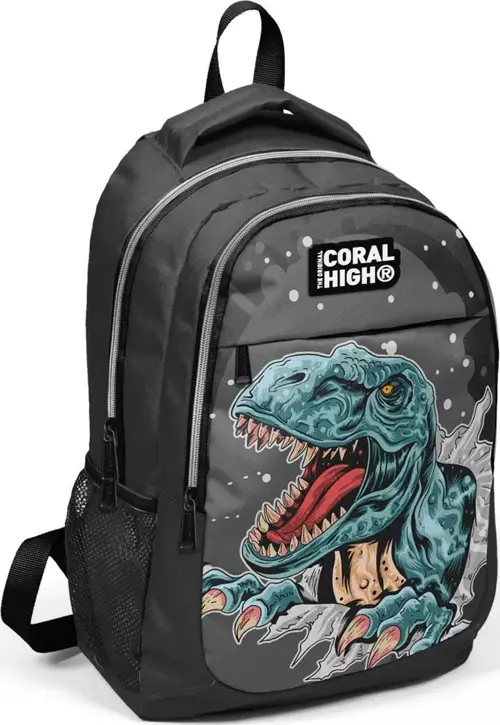 Kids Gri Dinazorlu Üç Bölmeli Sırt Çantası 14386