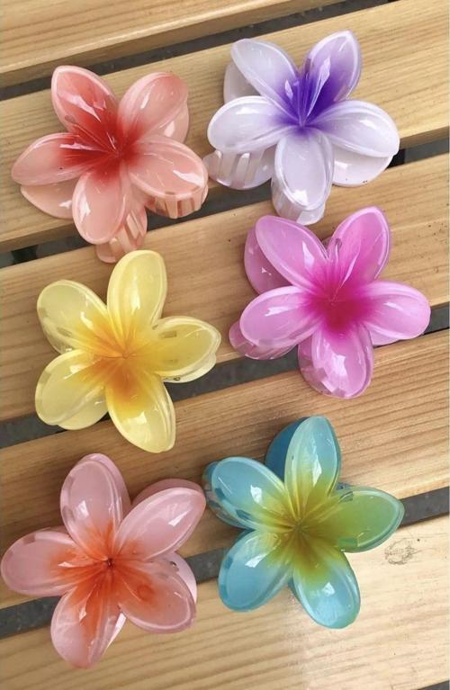 6 Adet Lotus Toka Renkli Kırılmaz