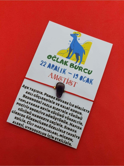 Sertifikalı Oğlak Burcu Ametist Doğal Taşlı Ip Burç Bilekliği