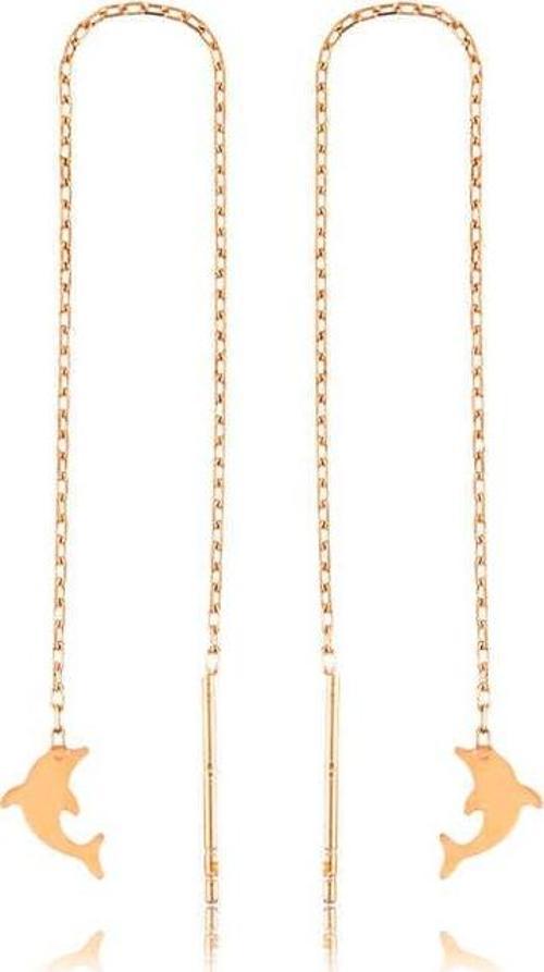 Gümüş Zincirli Yunus Balığı Küpe SL2880