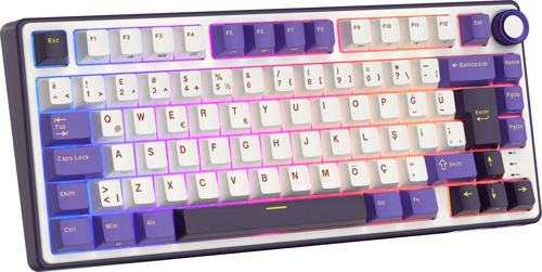 R75 75% Kablolu Türkçe Gaming Klavye (Beyaz-Mor)