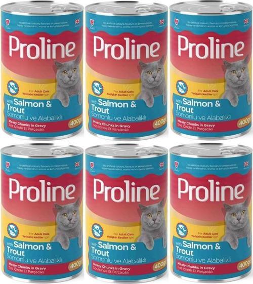 Somonlu ve Alabalıklı Yetişkin Kedi Konservesi 400 Gr*6 Adet