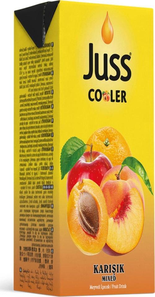 Cooler Karışık Meyve Suyu 200 Ml X 27 Adet