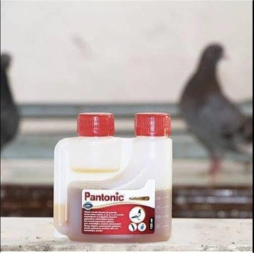Pantonic 125 ml