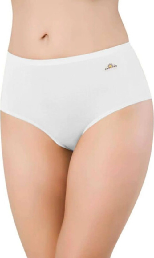 1851 KADIN YÜKSEK BEL MODAL KÜLOT 6 ADET