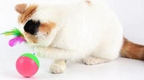 Büro Ev Evcil Hayvanı için Kedi Fare Hacıyatmaz Oyunu