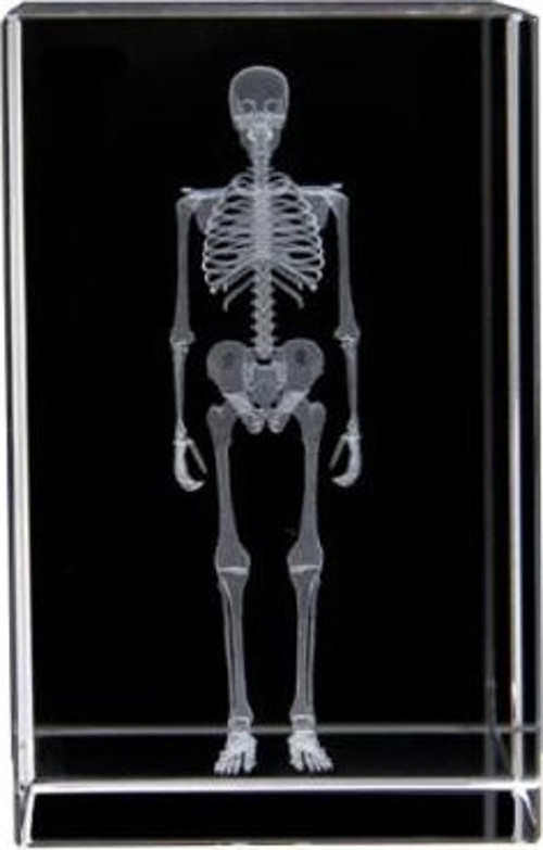 Büro Ev Hediyesi için Kristal Küp İçinde 3D İnsan İskeleti Motifi