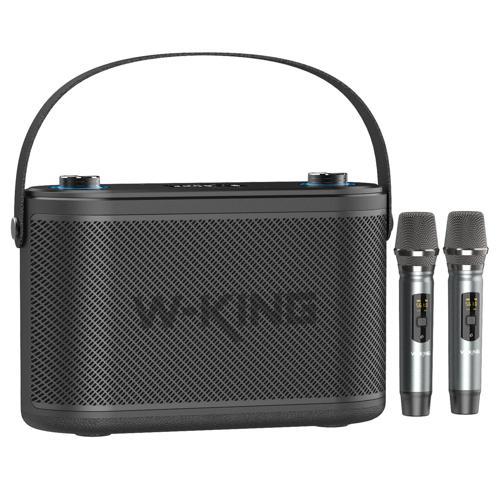 W-KING H10 Bluetooth Hoparlör, 240W Karaoke Makinesi Boombox, 24 Saate Varan Çalma Süresi, REC/Mikro