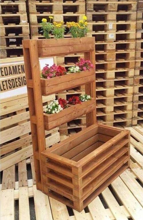 Ahşap 4 Lü Sukulentlik ve Saksılık.