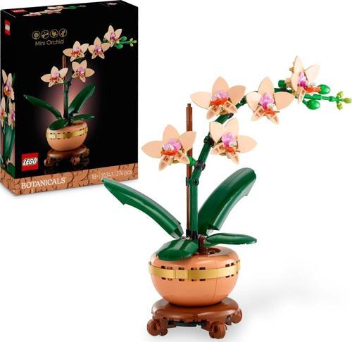 Botanicals Mini Orkide 10343 – Açık Renkli Terakota Saksı Ve Ahşap Efektli Kaide İçeren Yetişki