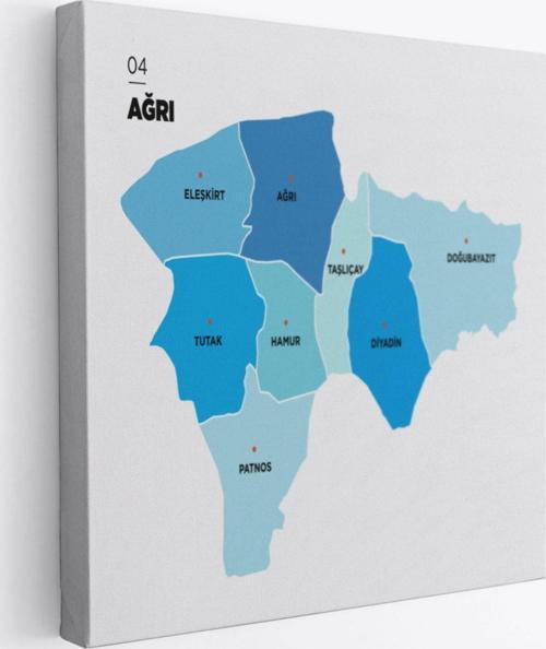 İl ve İlçeler Haritası Ağrı, Modern Dekoratif Kanvas Tablo, Duvar Dekoru 1255