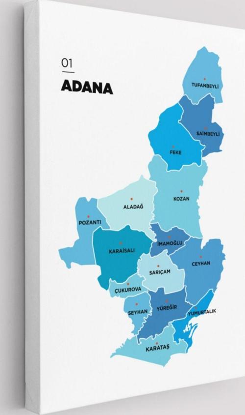 İl ve İlçeler Haritası Adana, Modern Dekoratif Kanvas Tablo, Duvar Dekoru 1247