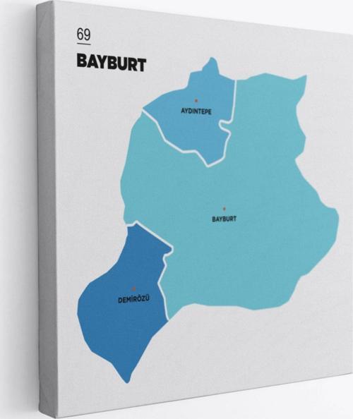 İl ve İlçeler Haritası Bayburt, Modern Dekoratif Kanvas Tablo, Duvar Dekoru 1290