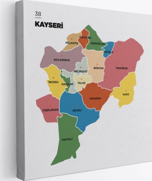 İl ve İlçeler Haritası Kayseri, Modern Dekoratif Kanvas Tablo, Duvar Dekoru 1386