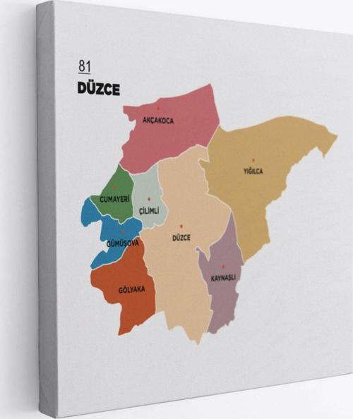 İl ve İlçeler Haritası Düzce, Modern Dekoratif Kanvas Tablo, Duvar Dekoru 1325