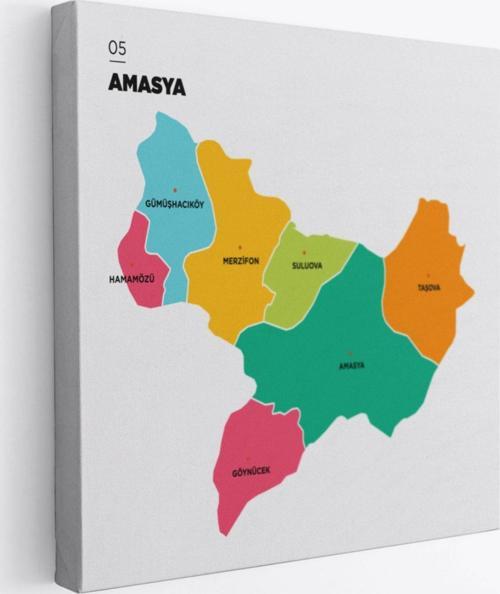 İl ve İlçeler Haritası Amasya, Modern Dekoratif Kanvas Tablo, Duvar Dekoru 1263