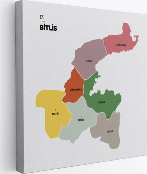 İl ve İlçeler Haritası Bitlis, Modern Dekoratif Kanvas Tablo, Duvar Dekoru 1298