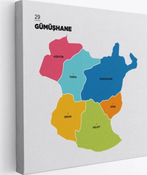 İl ve İlçeler Haritası Gumüşhane, Modern Dekoratif Kanvas Tablo, Duvar Dekoru 1348