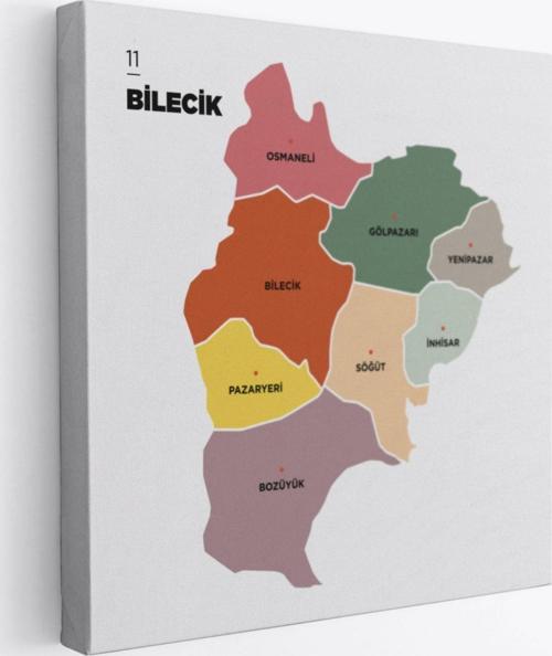 İl ve İlçeler Haritası Bilecik, Modern Dekoratif Kanvas Tablo, Duvar Dekoru 1292