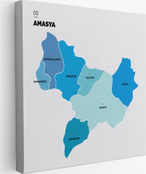 İl ve İlçeler Haritası Amasya, Modern Dekoratif Kanvas Tablo, Duvar Dekoru 1261