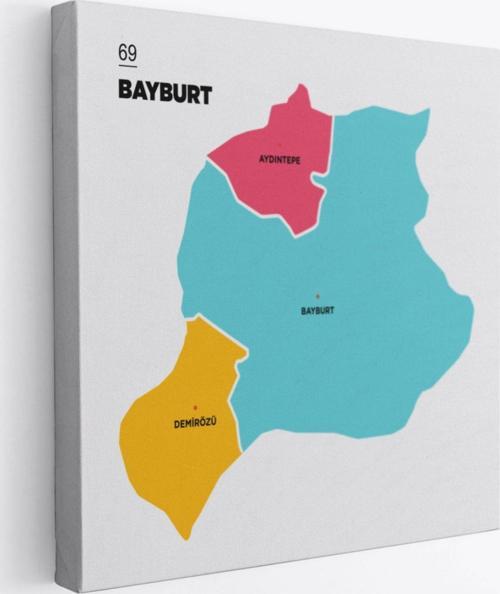 İl ve İlçeler Haritası Bayburt, Modern Dekoratif Kanvas Tablo, Duvar Dekoru 1288