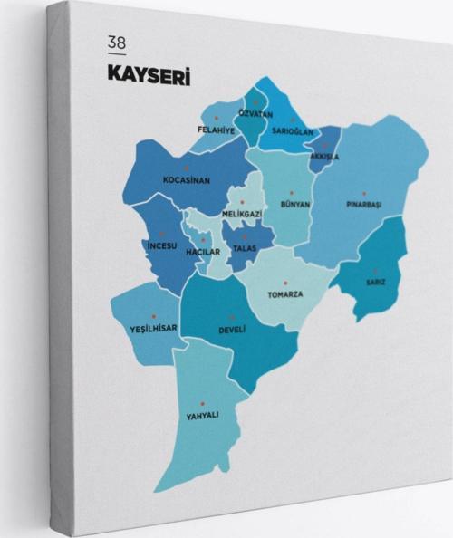 İl ve İlçeler Haritası Kayseri, Modern Dekoratif Kanvas Tablo, Duvar Dekoru 1387