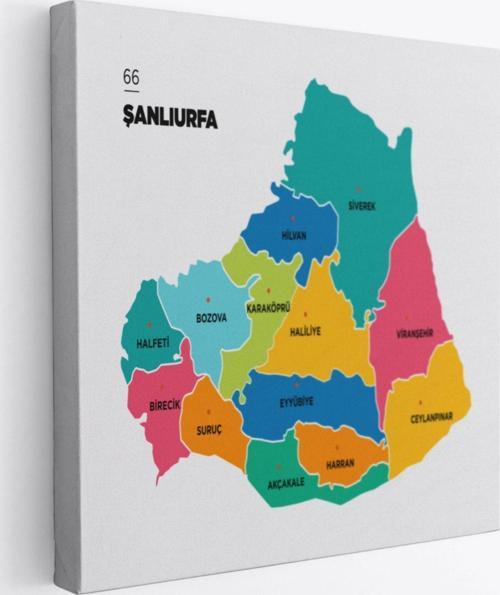 İl ve İlçeler Haritası Şanlıurfa, Modern Dekoratif Kanvas Tablo, Duvar Dekoru 1457