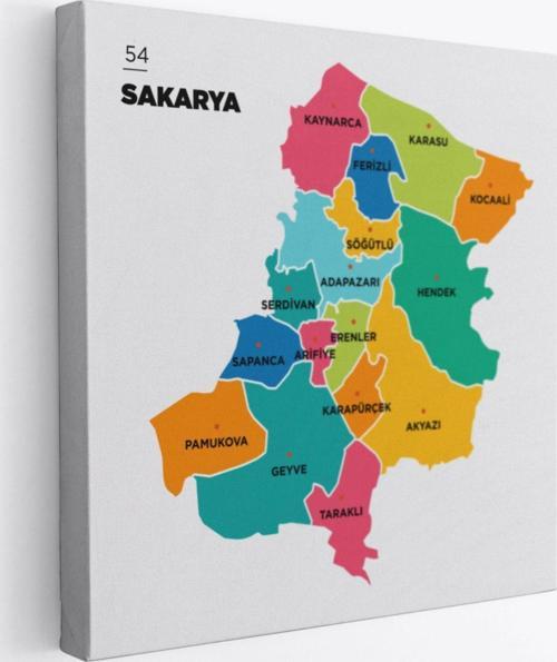 İl ve İlçeler Haritası Sakarya, Modern Dekoratif Kanvas Tablo, Duvar Dekoru 1442