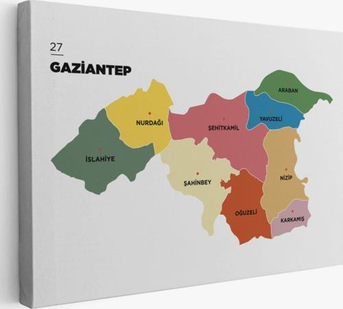 İl ve İlçeler Haritası Gaziantep, Modern Dekoratif Kanvas Tablo, Duvar Dekoru 1343