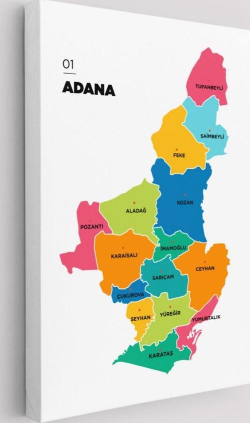 İl ve İlçeler Haritası Adana, Modern Dekoratif Kanvas Tablo, Duvar Dekoru 1248