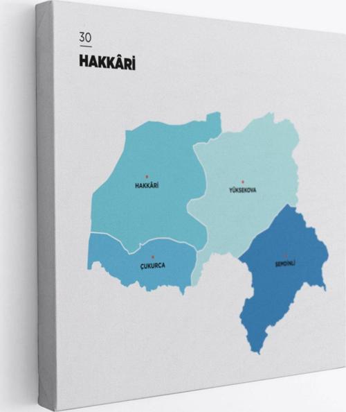İl ve İlçeler Haritası Hakkari, Modern Dekoratif Kanvas Tablo, Duvar Dekoru 1353