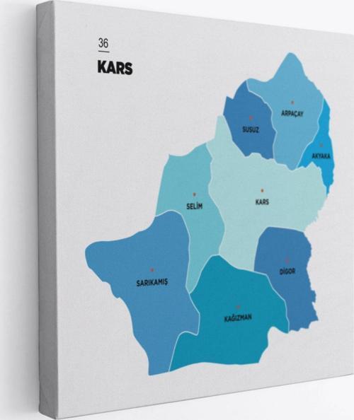 İl ve İlçeler Haritası Kars, Modern Dekoratif Kanvas Tablo, Duvar Dekoru 1381