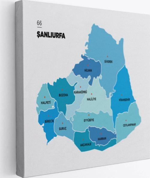 İl ve İlçeler Haritası Şanlıurfa, Modern Dekoratif Kanvas Tablo, Duvar Dekoru 1459