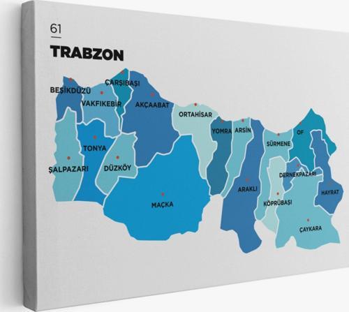 İl ve İlçeler Haritası Trabzon, Modern Dekoratif Kanvas Tablo, Duvar Dekoru 1471