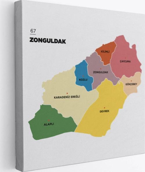 İl ve İlçeler Haritası Zonguldak, Modern Dekoratif Kanvas Tablo, Duvar Dekoru 1488