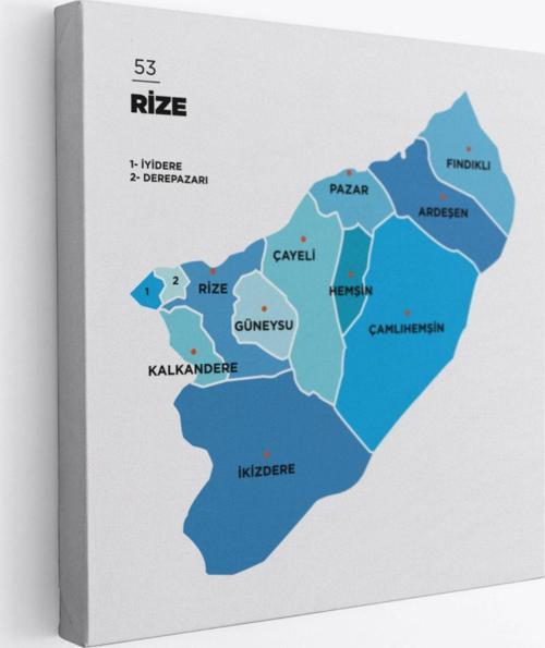 İl ve İlçeler Haritası Rize, Modern Dekoratif Kanvas Tablo, Duvar Dekoru 1441