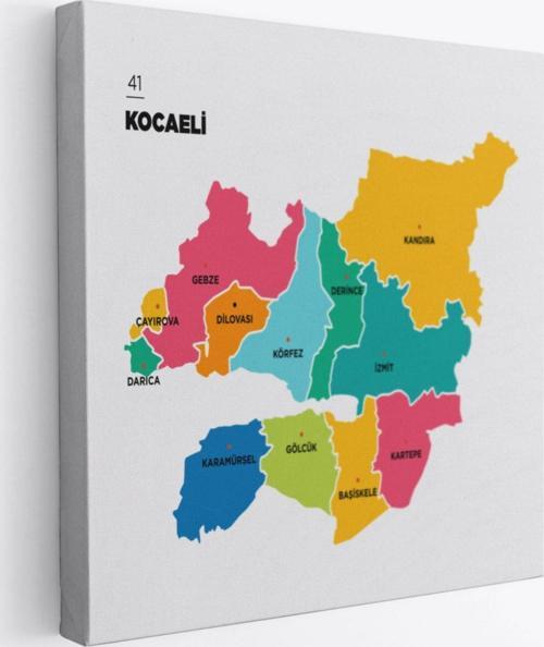 İl ve İlçeler Haritası Kocaeli, Modern Dekoratif Kanvas Tablo, Duvar Dekoru 1400