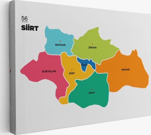 İl ve İlçeler Haritası Siirt, Modern Dekoratif Kanvas Tablo, Duvar Dekoru 1448